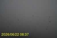 Img20260622_083722.jpg