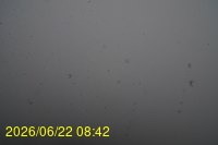 Img20260622_084222.jpg