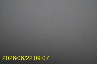 Img20260622_090723.jpg