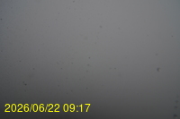 Img20260622_091722.jpg