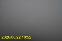 Img20260622_105223.jpg