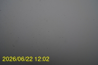 Img20260622_120223.jpg