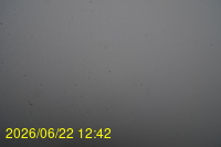 Img20260622_124223.jpg