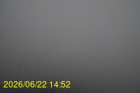 Img20260622_145224.jpg