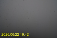 Img20260622_164224.jpg