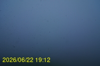 Img20260622_191225.jpg