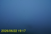 Img20260622_191725.jpg
