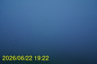 Img20260622_192225.jpg