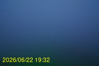 Img20260622_193225.jpg