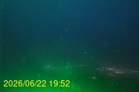 Img20260622_195225.jpg