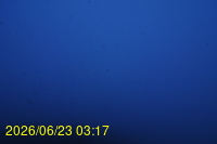 Img20260623_031727.jpg