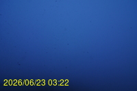 Img20260623_032227.jpg