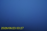 Img20260623_032727.jpg