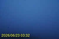 Img20260623_033227.jpg