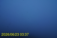 Img20260623_033727.jpg