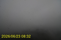 Img20260623_083228.jpg