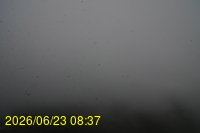 Img20260623_083728.jpg
