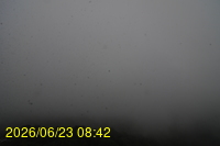 Img20260623_084228.jpg