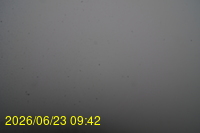 Img20260623_094228.jpg