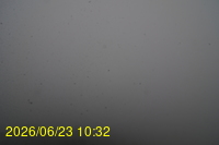 Img20260623_103228.jpg