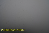 Img20260623_103728.jpg