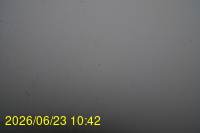 Img20260623_104228.jpg
