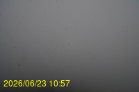 Img20260623_105728.jpg