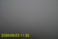 Img20260623_113228.jpg