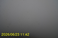 Img20260623_114228.jpg