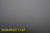 Img20260623_114729.jpg