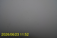 Img20260623_115228.jpg