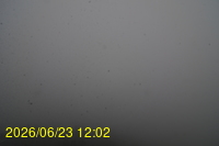 Img20260623_120229.jpg