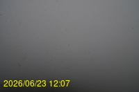 Img20260623_120729.jpg