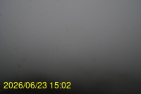 Img20260623_150229.jpg