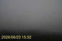 Img20260623_153229.jpg