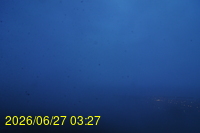 Img20260627_032746.jpg