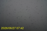 Img20260627_074247.jpg