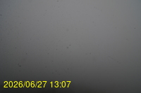 Img20260627_130748.jpg