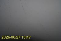 Img20260627_134748.jpg