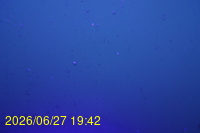Img20260627_194250.jpg