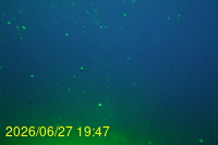Img20260627_194749.jpg