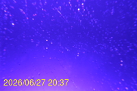 Img20260627_203750.jpg