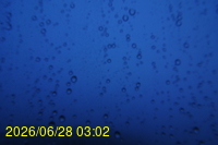 Img20260628_030251.jpg