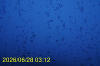 Img20260628_031251.jpg