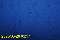 Img20260628_031751.jpg