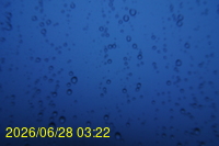 Img20260628_032251.jpg