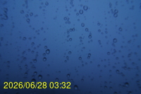 Img20260628_033251.jpg