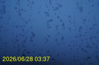 Img20260628_033751.jpg