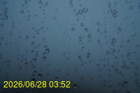 Img20260628_035251.jpg