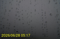 Img20260628_051752.jpg